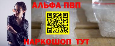 СК Гатчина