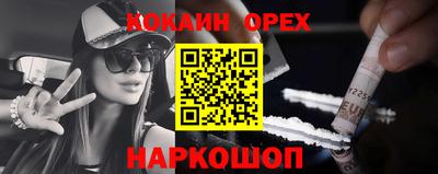 СК Гатчина