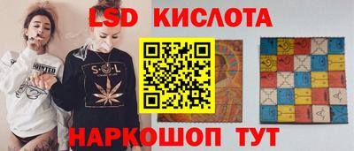 СК Гатчина