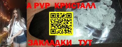 СК Гатчина