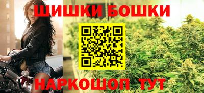СК Гатчина