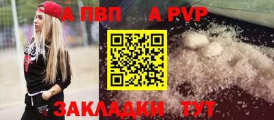 спиды Гай