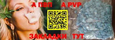 спиды Гай
