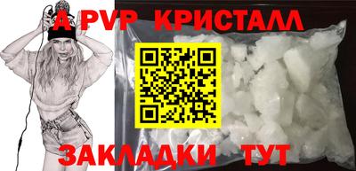 спиды Гай