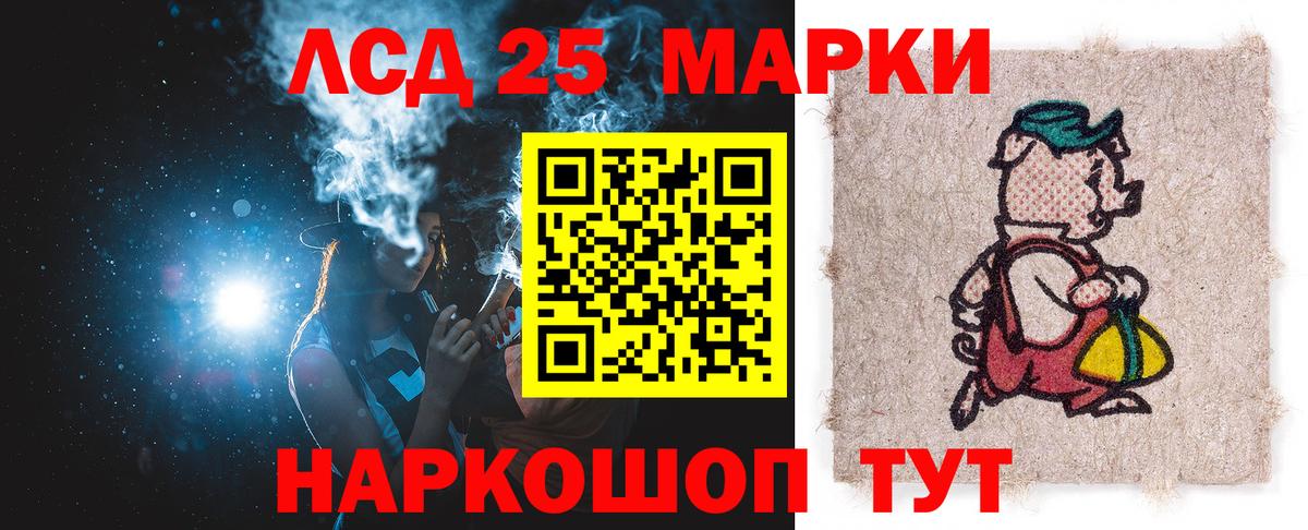 Псилоцибиновые грибы Нурлат