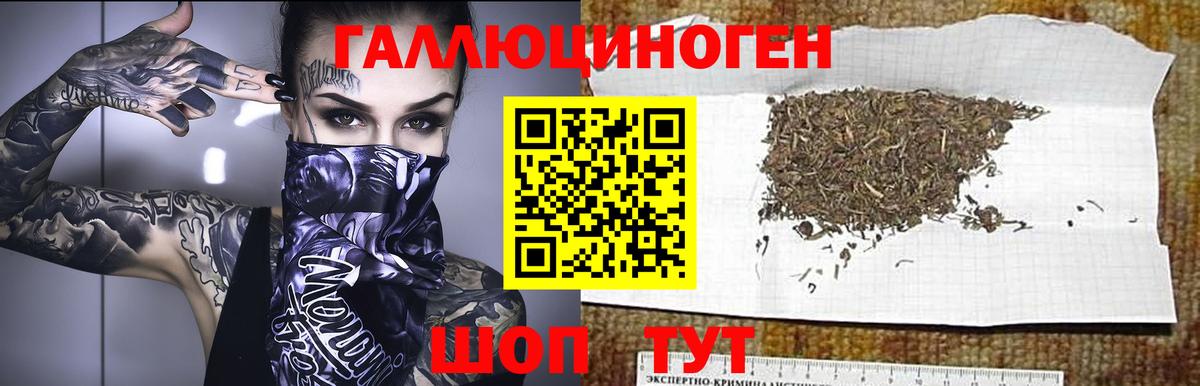 Псилоцибиновые грибы ЛСД  Галлюциногенные грибы Psilocybe  Вход с VPN  Нурлат 